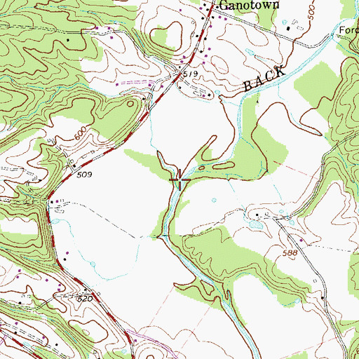 Topographic Map of Big Run, WV