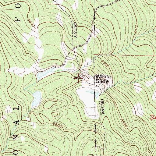 Topographic Map of White Slide, CO