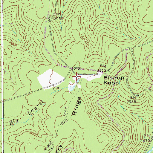 Topographic Map of Bishop Knob Recreation Area, WV