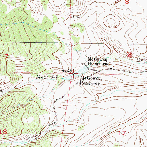 Topographic Map of McGowan Reservoir, CO