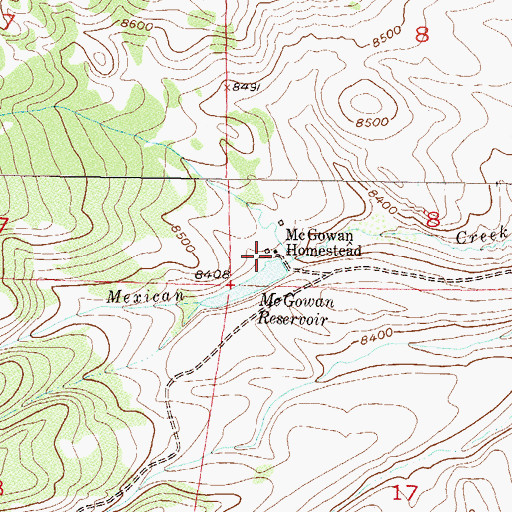 Topographic Map of McGowan Homestead, CO