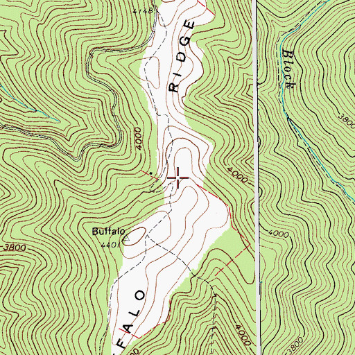 Topographic Map of Buffalo Ridge School (historical), WV