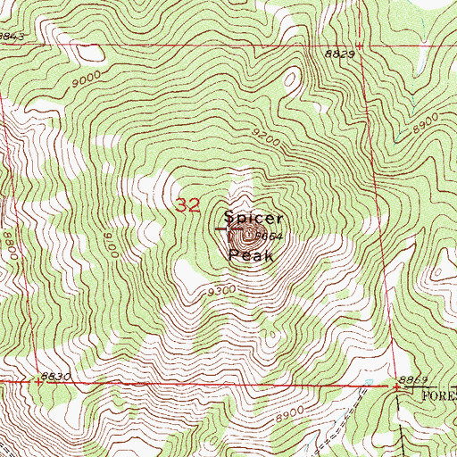 Topographic Map of Spicer Peak, CO