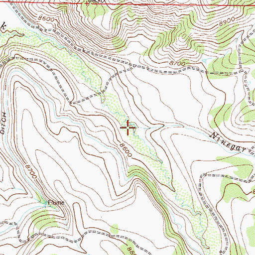 Topographic Map of Ninegar Creek, CO