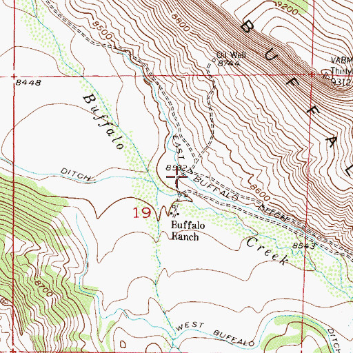 Topographic Map of East Buffalo Ditch, CO