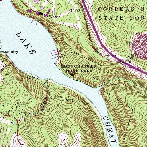 Topographic Map of Mont Chateau, WV