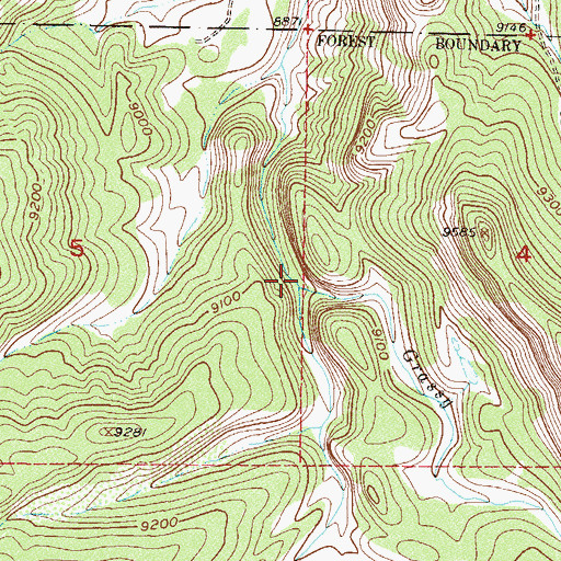 Topographic Map of Grassy Run, CO