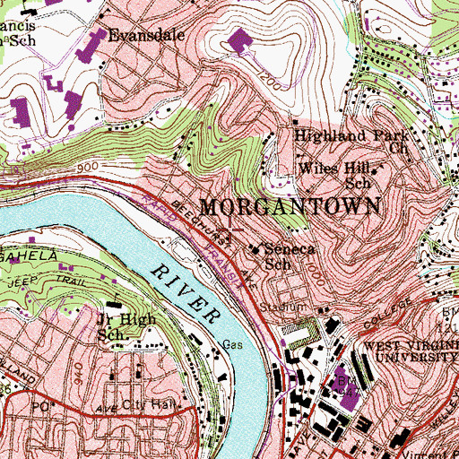 Topographic Map of Seneca, WV