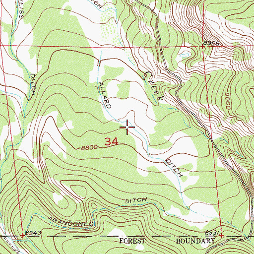 Topographic Map of Allard Ditch, CO