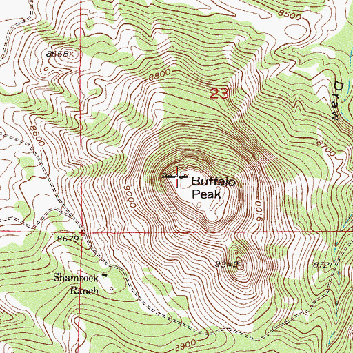 Topographic Map of Buffalo Peak, CO