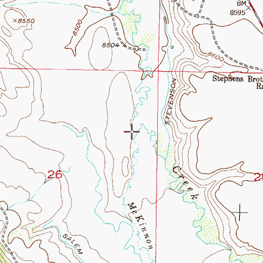 Topographic Map of McKinnon Creek, CO