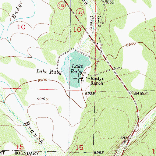 Topographic Map of Roslyn Ranch, CO