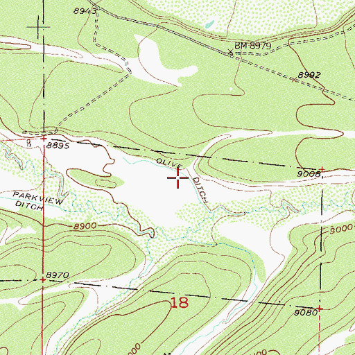 Topographic Map of Olive Ditch, CO