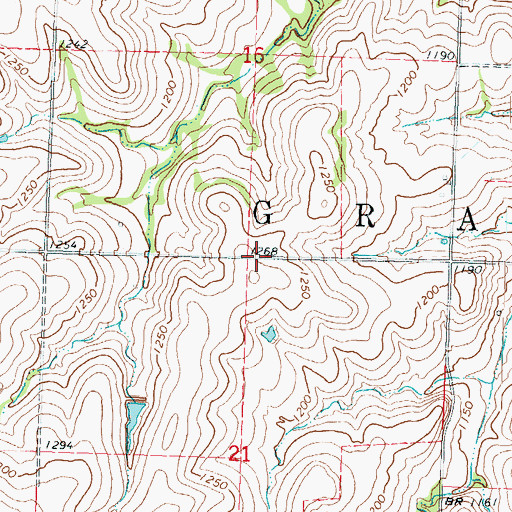 Topographic Map of Township of Grant, KS