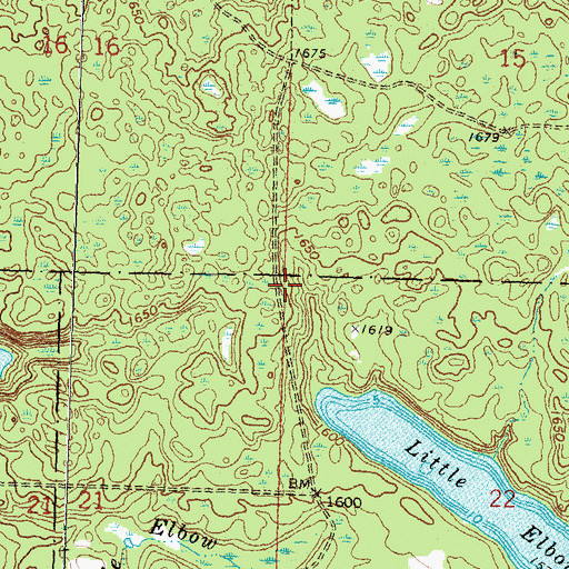 Topographic Map of Township of Little Elbow, MN