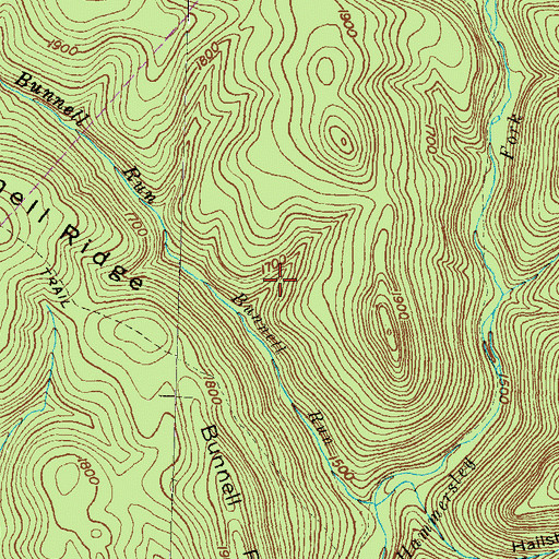 Topographic Map of Road District of East Fork (historical), PA