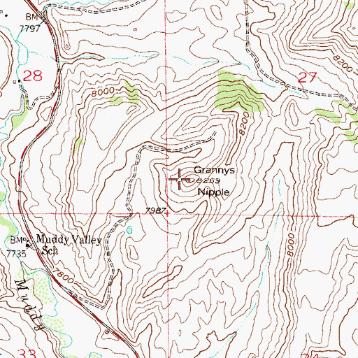 Topographic Map of Grannys Nipple, CO