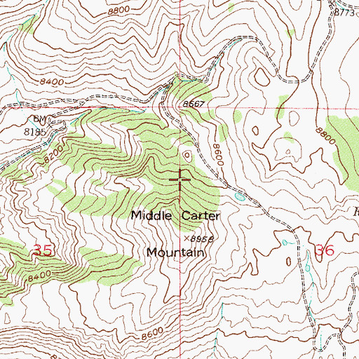 Topographic Map of Middle Carter Mountain, CO