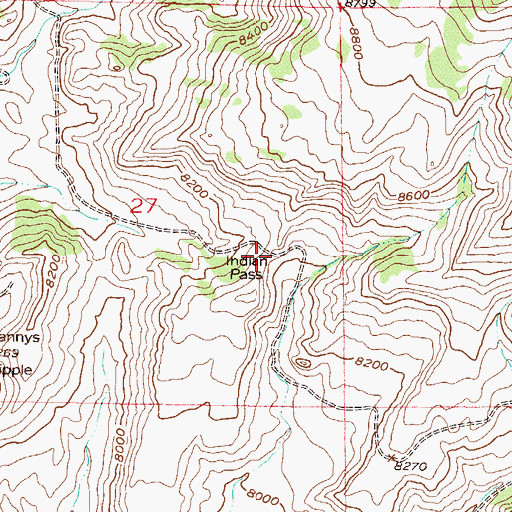 Topographic Map of Indian Pass, CO