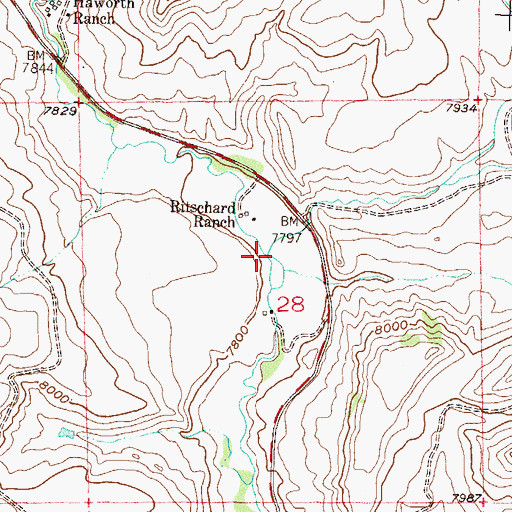 Topographic Map of Badger Creek, CO