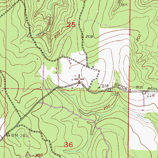 Topographic Map of Spice Pond Church, AL