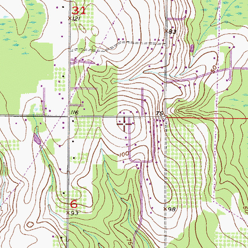 Topographic Map of Springs Church, AL