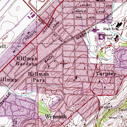 Topographic Map of Bryant Chapel African Methodist Episcopal Church, AL
