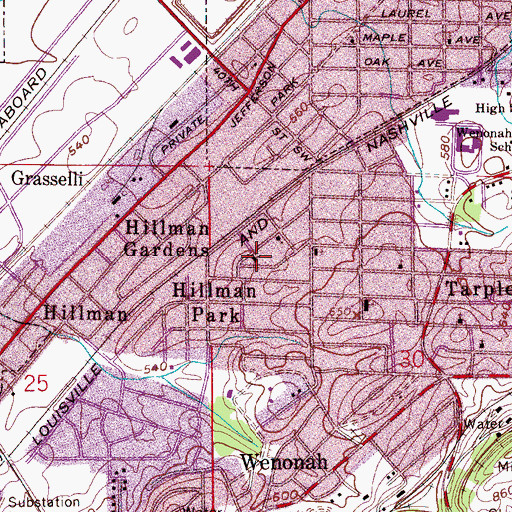 Topographic Map of Saint James Independent Methodist Church, AL