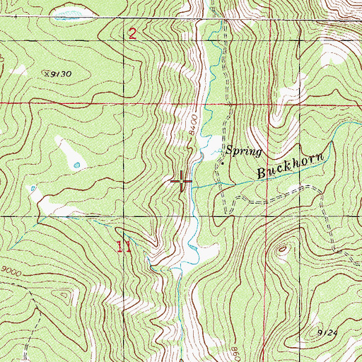 Topographic Map of Buckhorn Creek, CO