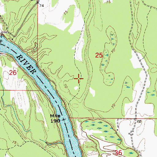 Topographic Map of McNeils (historical), AL