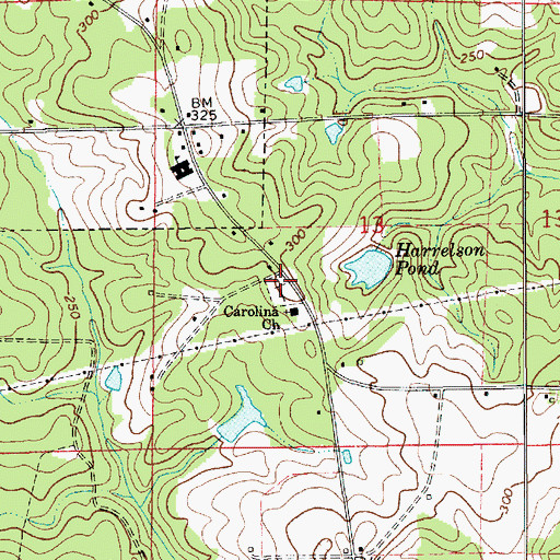 Topographic Map of Carolina Cemetery, AL