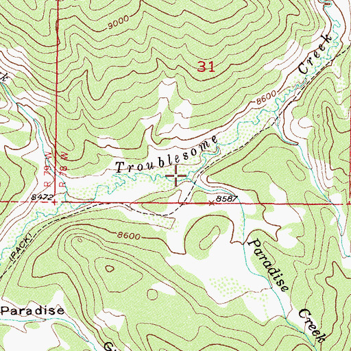 Topographic Map of Paradise Creek, CO