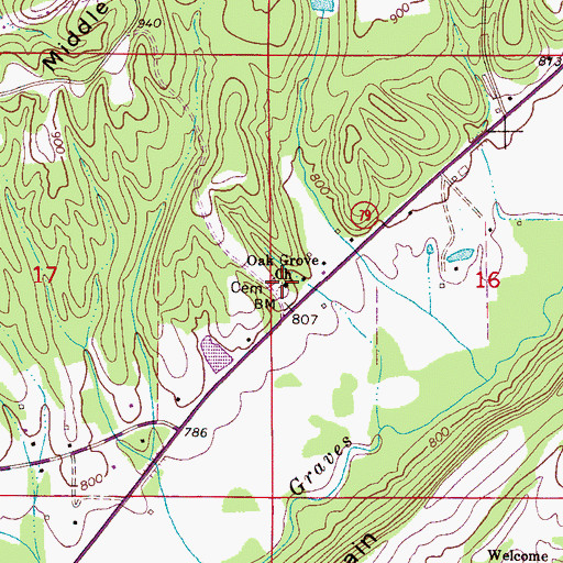 Topographic Map of Oak Grove Cemetery, AL