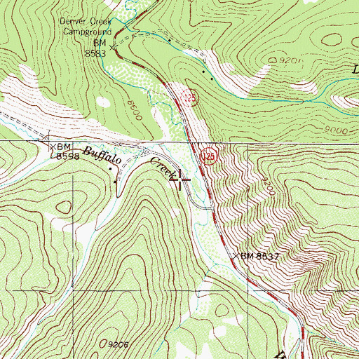 Topographic Map of Buffalo Creek, CO