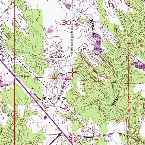 Topographic Map of Southern Pines, AL
