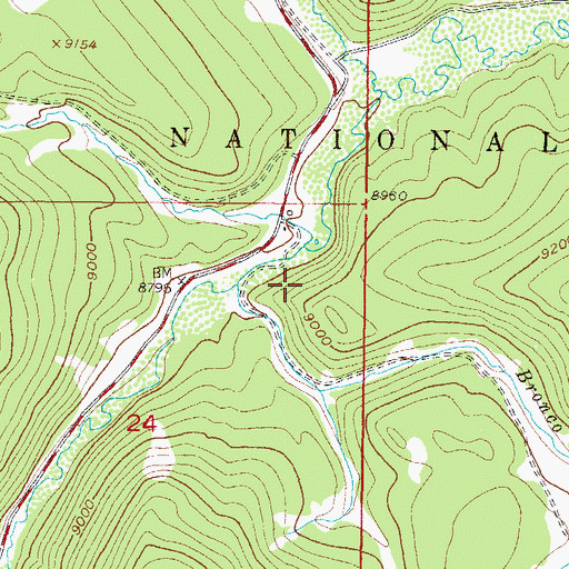 Topographic Map of Bronco Creek, CO
