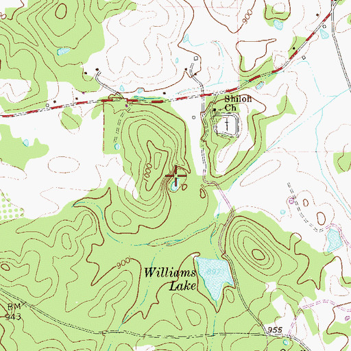 Topographic Map of Woodward Mine, GA