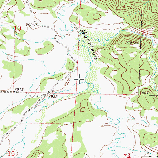 Topographic Map of Bushy Creek, CO
