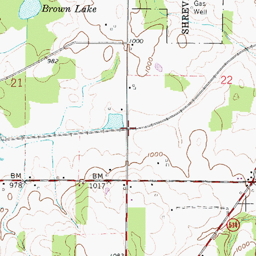 Topographic Map of Browns Crossing, OH