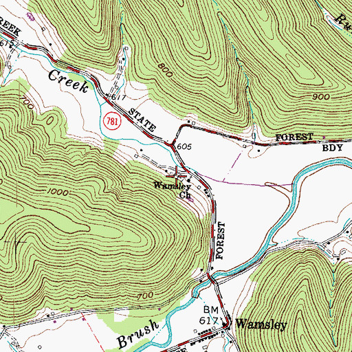 Topographic Map of Wamsley Cemetery, OH