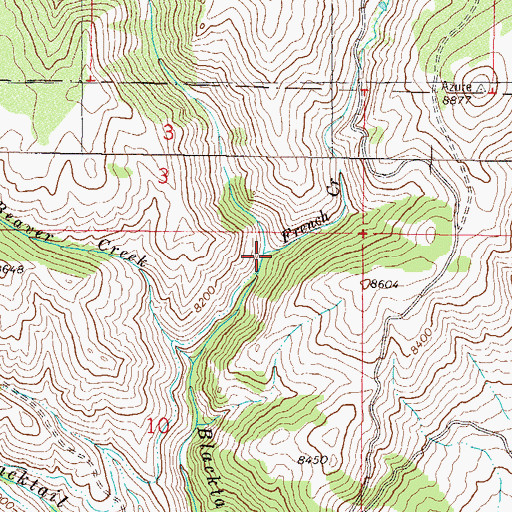 Topographic Map of French Creek, CO