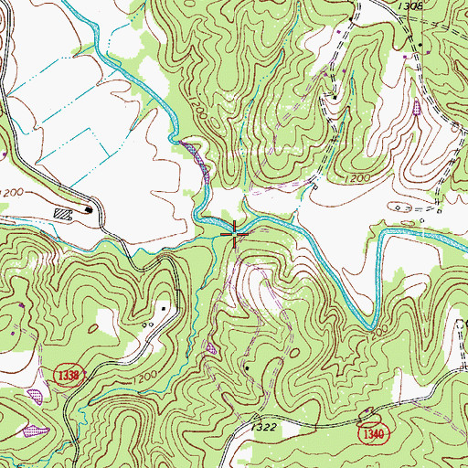 Topographic Map of Flat Branch, NC