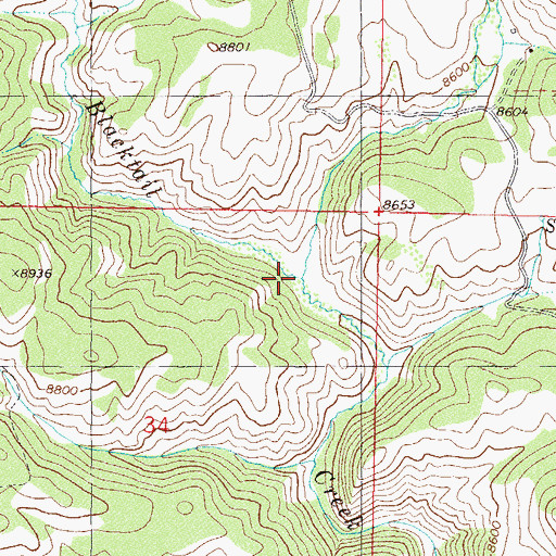 Topographic Map of East Fork Blacktail Creek, CO