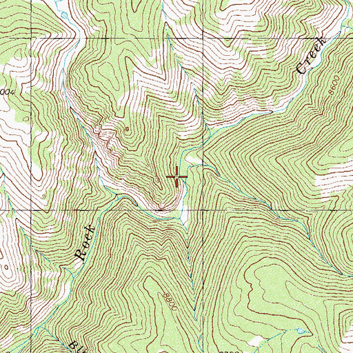 Topographic Map of Whiskey Creek, CO