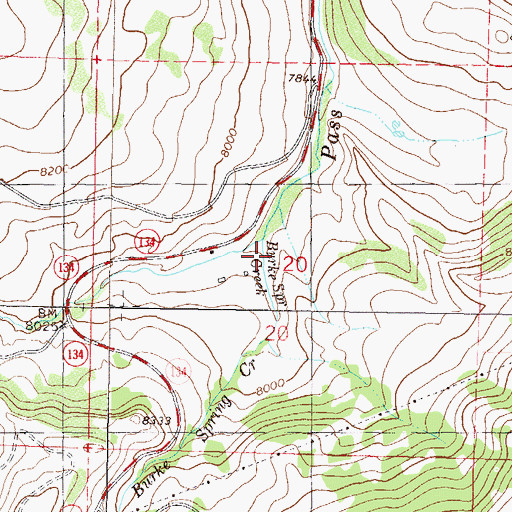 Topographic Map of Burke Spring Creek, CO