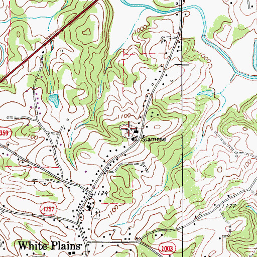 Topographic Map of White Plains Cemetery, NC