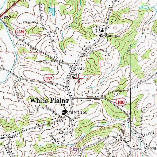 Topographic Map of White Plains Cemetery, NC