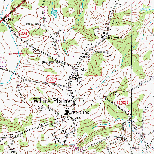 Topographic Map of White Plains Friends Meeting House, NC
