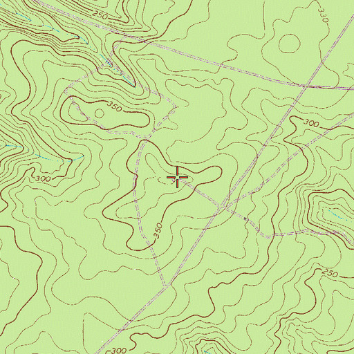 Topographic Map of Hawthorne Fire Tower, SC