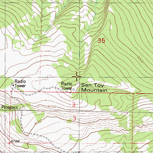 Topographic Map of San Toy Mountain, CO